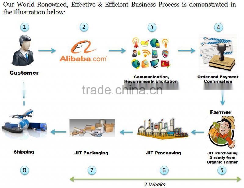 Organic Aerva lanata