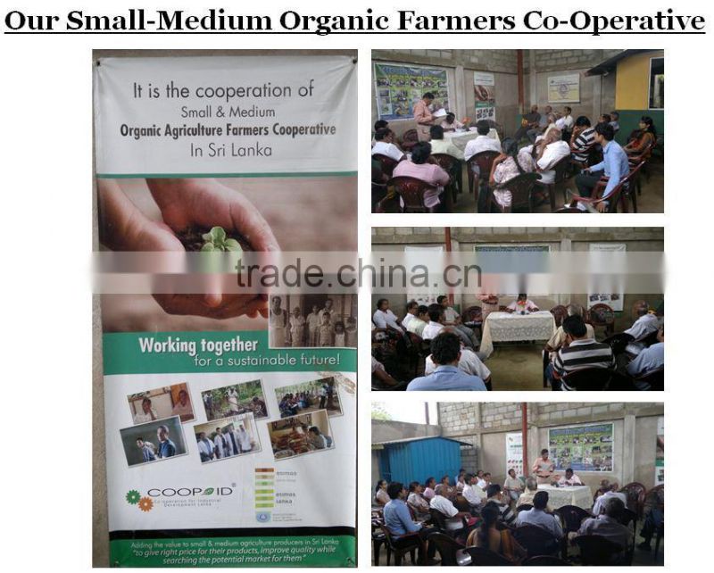 Ceylon Black Tea - BOPF