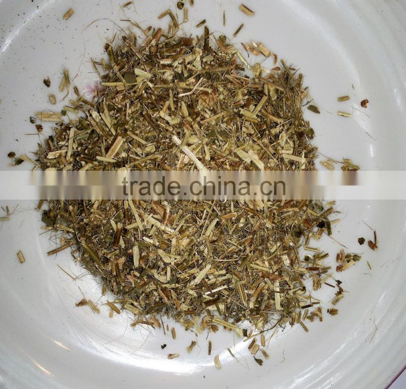 Organic Ocimum tenuiflorum Powder