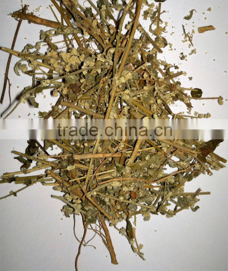 Organic Aerva lanata