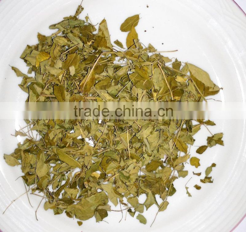 Organic Moringa oleifera