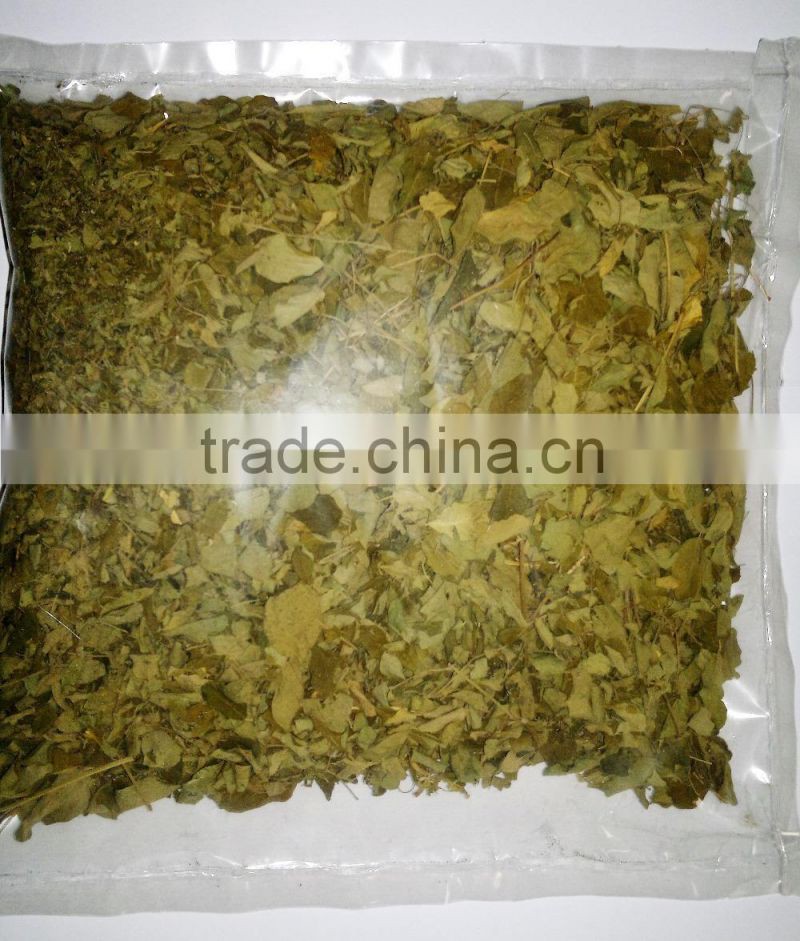 Organic Moringa oleifera