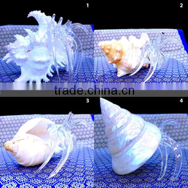 BIG SEASHELL HERMIT CRAB HAND BLOWN GLASS ART FIGURINE HOME DECOR COLLECTION