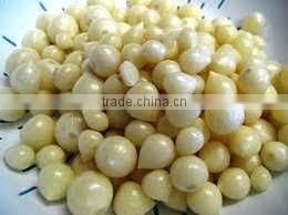 FRESH SINGLE CLOVE GARLIC