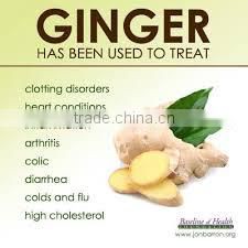Ginger/Hot sale ginger/Organic ginger/Cheap fresh ginger