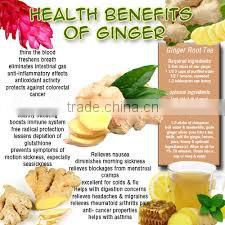 Ginger/Hot sale ginger/Organic ginger/Cheap fresh ginger
