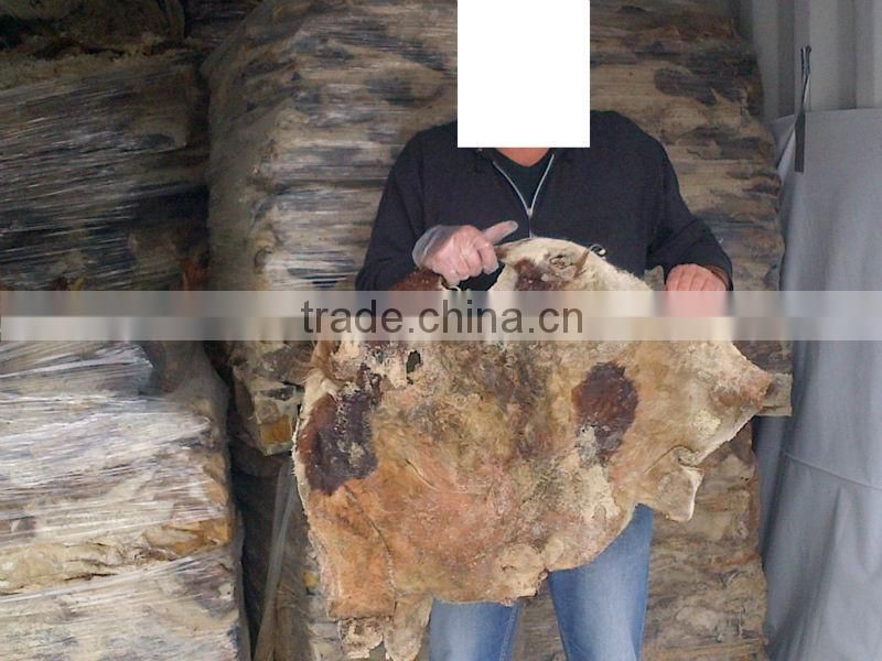 salted cow head skin