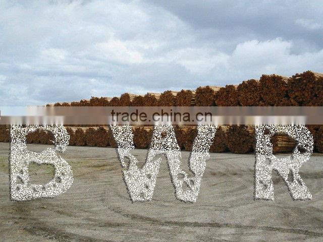 *** EUCALYPTUS PULP LOGS ***