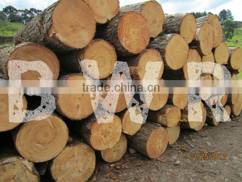 *** PINE ROUND TIMBER ***
