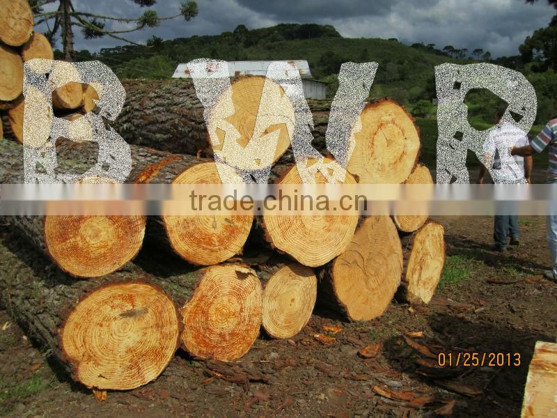 *** LARGE PINE LOGS ***