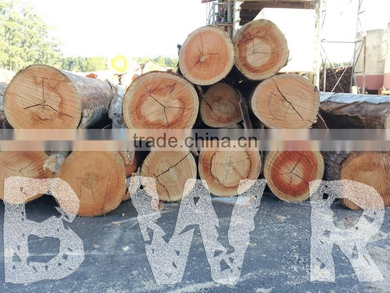 *** EUCALYPTUS WOOD LOGS ***