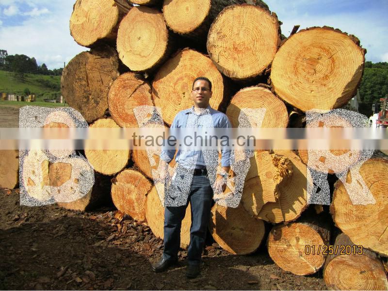 *** PINE WOOD LOGS ***
