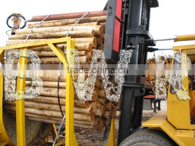 *** EUCALYPTUS PULP LOGS ***