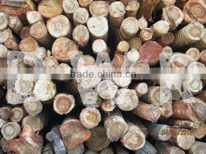 *** ACACIA PULP LOGS ***