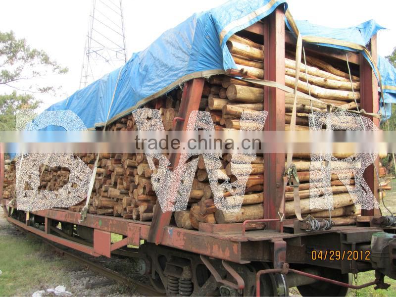 *** ACACIA PULP LOGS ***