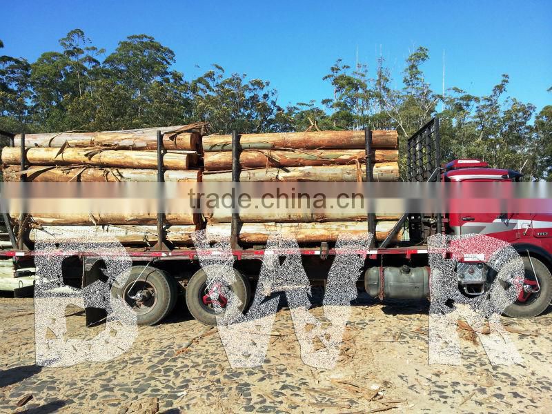 *** EUCALYPTUS WOOD LOGS ***