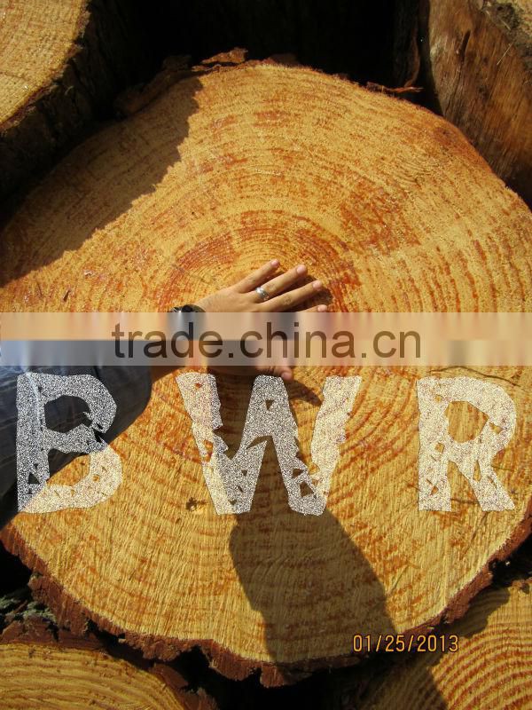 *** LARGE PINE LOGS ***