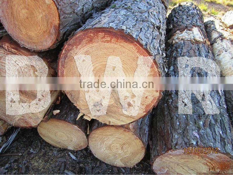 *** PINE WOOD LOGS ***