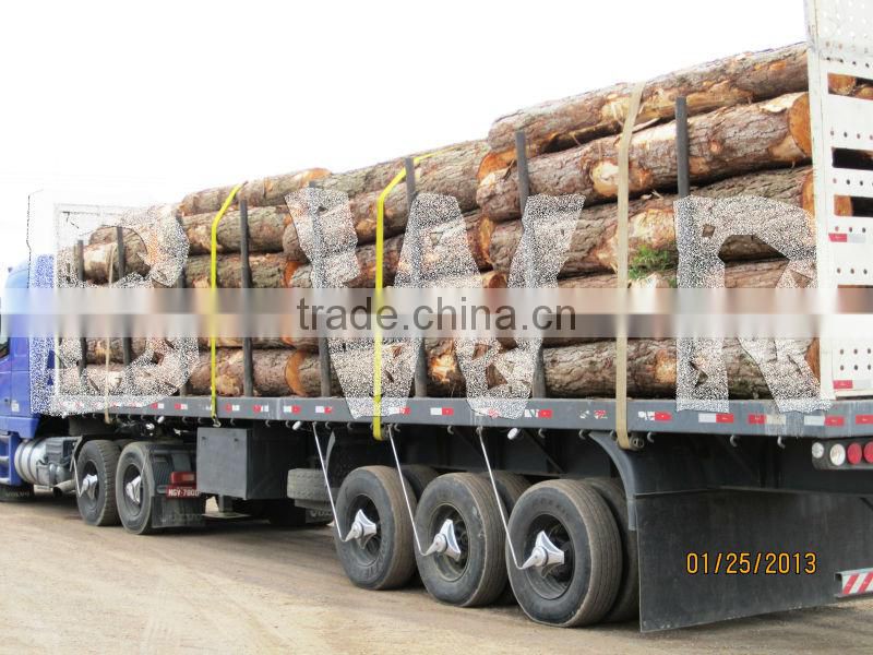*** PINE WOOD LOGS ***