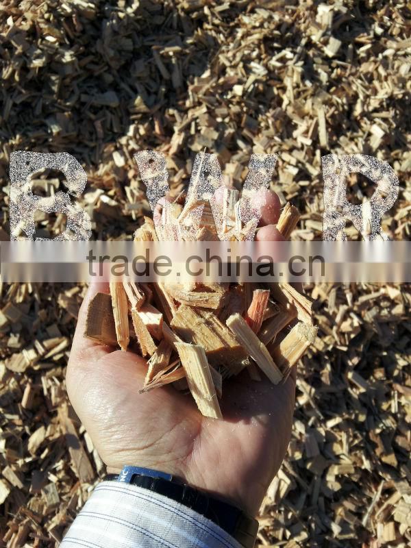 EUCALYPTUS WOOD CHIPS - PAPER GRADE