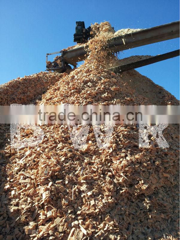 PINE WOOD CHIPS - PAPER GRADE