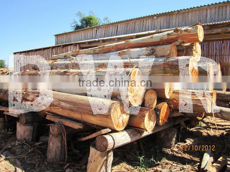*** EUCALYPTUS WOOD LOGS ***