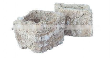 Natural roots for aquarium