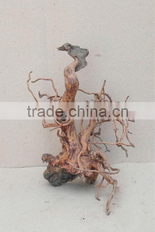 natural aquarium root