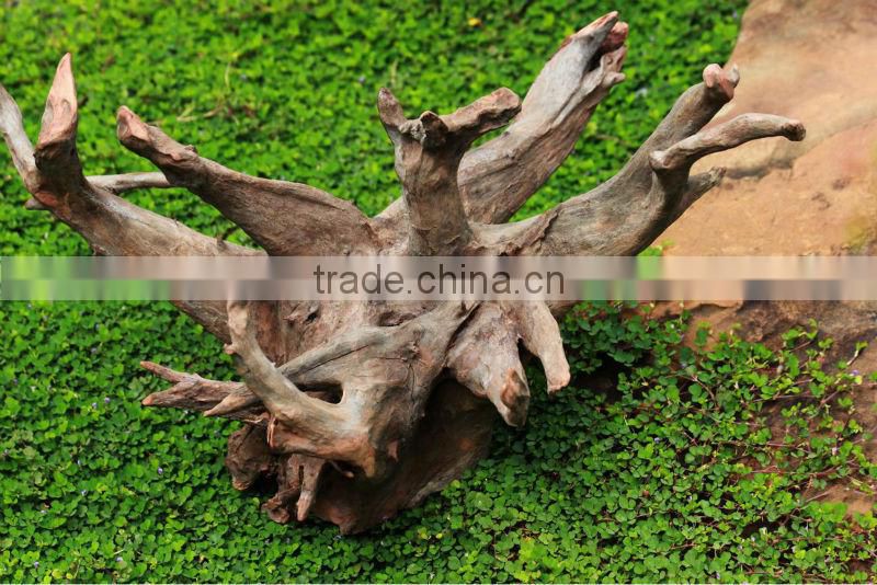 Driftwood hanging planter