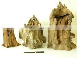 Natural roots for aquarium