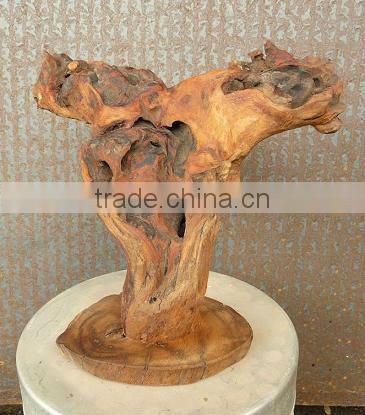 Natural roots for aquarium