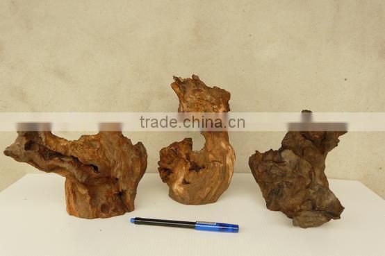 Driftwood for airplant