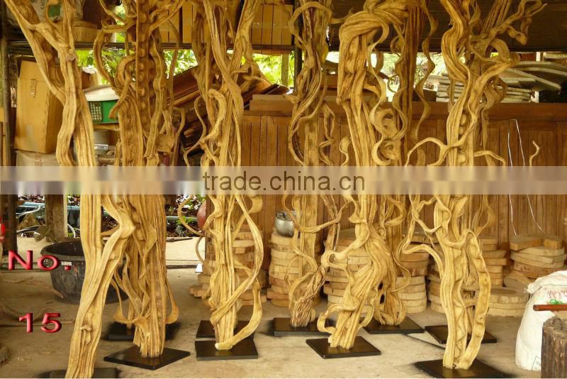 Natural roots for aquarium