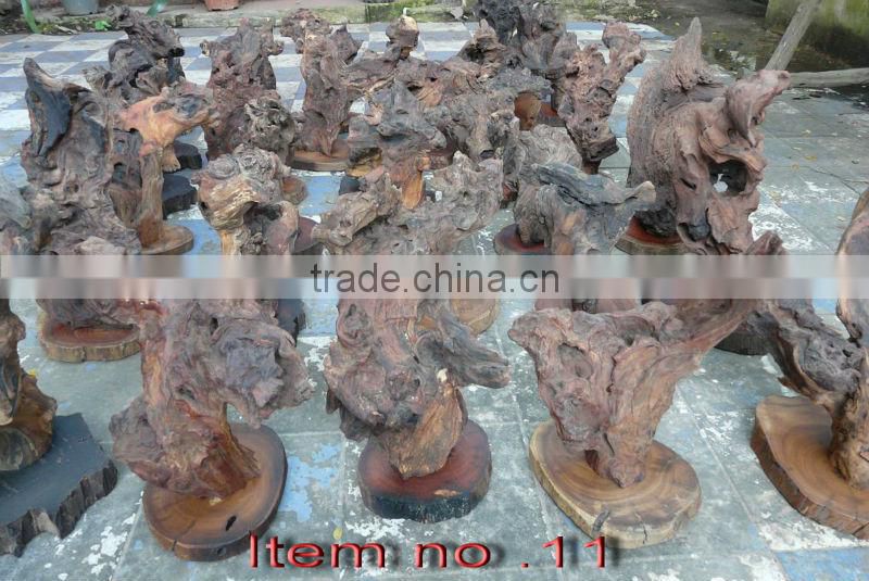 Natural roots for aquarium