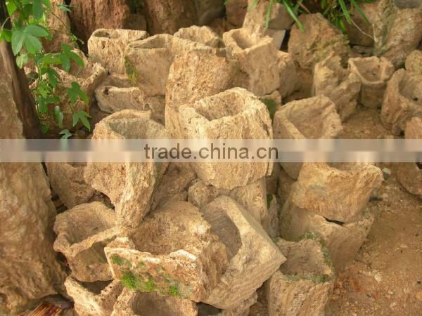 Natural roots for aquarium