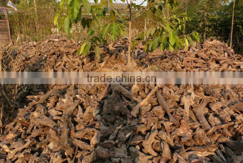 Driftwood for airplant