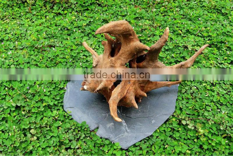 Driftwood hanging planter