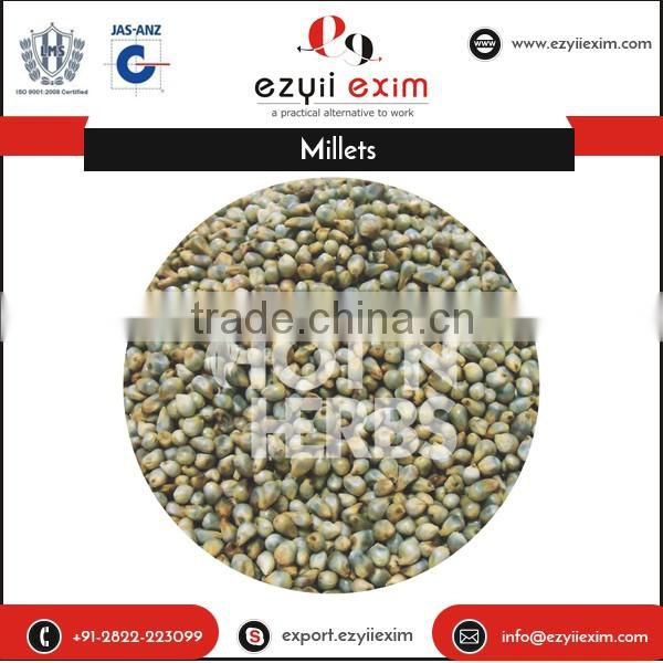 APEDA Certified Organic Millet from Indian Orgin