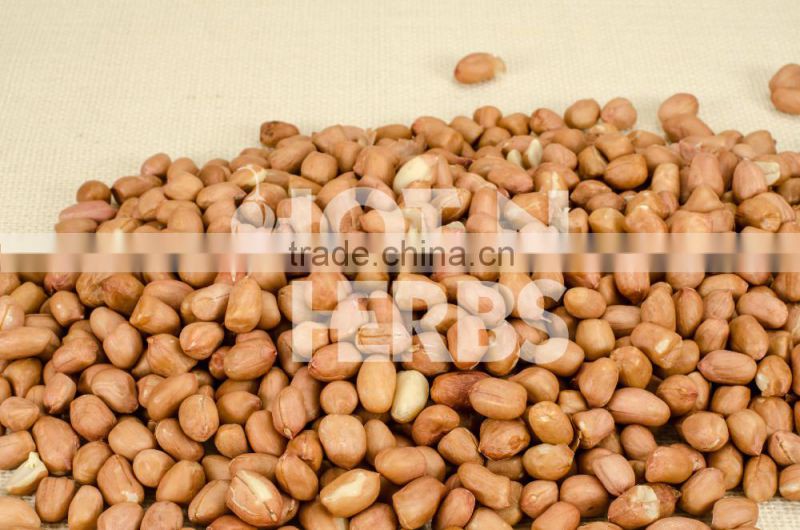 High Protein Rich Roasted Peanuts Available for Bulk Exporting