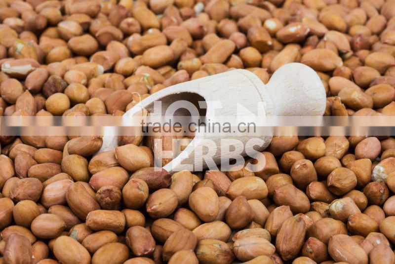 High Protein Rich Roasted Peanuts Available for Bulk Exporting