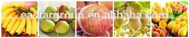 High Purity (Block Ethylene) 1-MCP