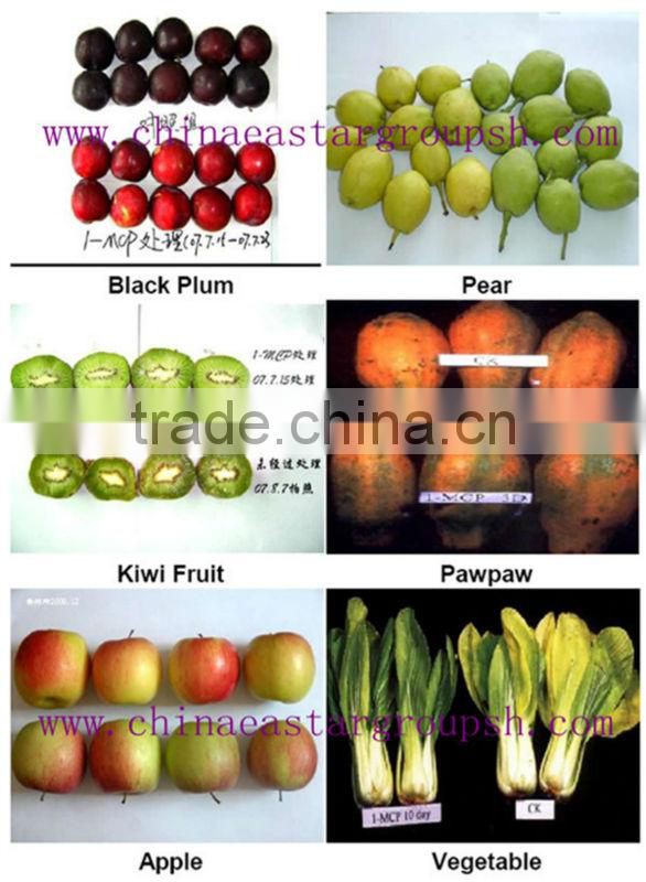 1-MCP Prolong Fruit Shelf Life