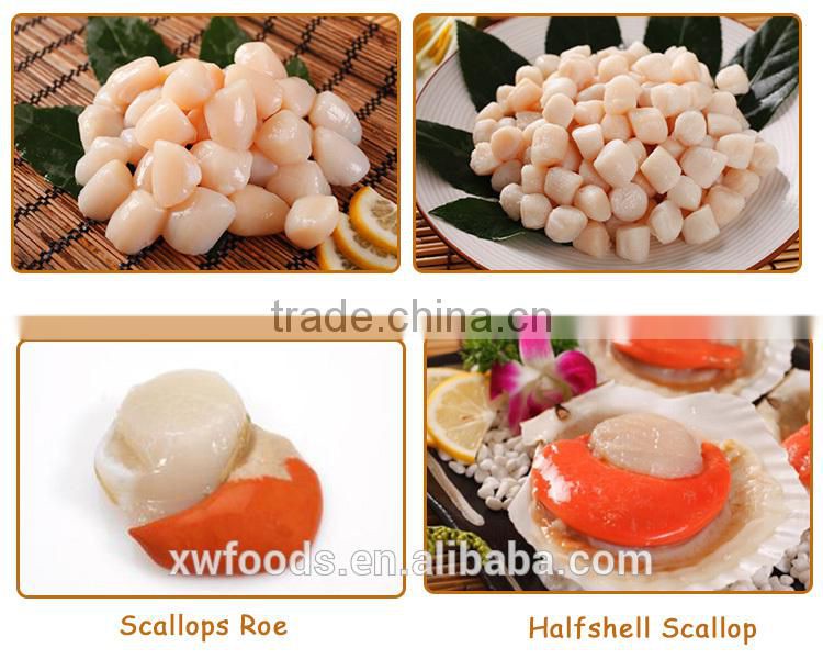 IQF Breaded Scallop Meat