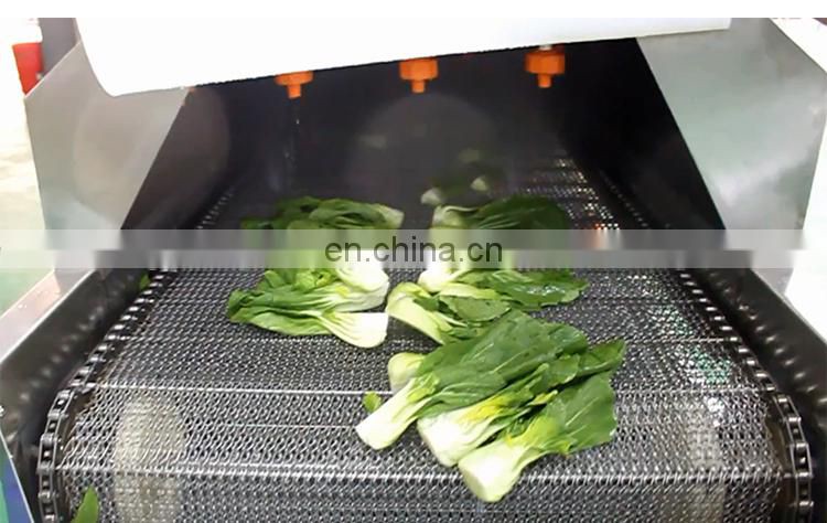 High Quality Ce-approved Low Damage Rate Leaf Vegetable Washing Machine