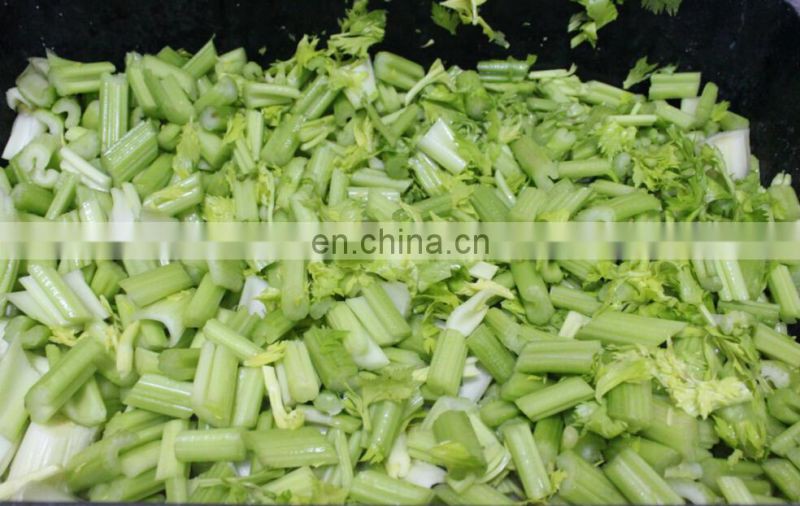 Low Price Automatic Electric Large Type Hobbing Leafy Vegetable Cutter Machine Cabbage Parsley Lettuce Celery Cutting Machine