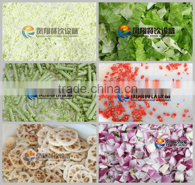 Multifunction Industrial Coconut Mango Vegetable Cutting Machine