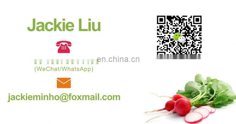 Vegetable Cutting Machine Banana Parsley Cabbage Gumbo Coconut Cutting Machine