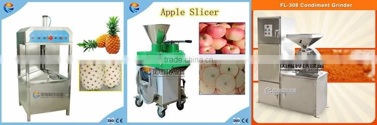 Chinese Commercial Electric Apple Peeler Corer Slicer Target