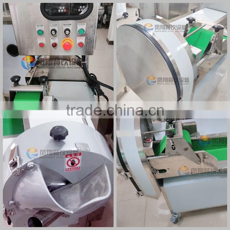 Multifunction Industrial Coconut Mango Vegetable Cutting Machine