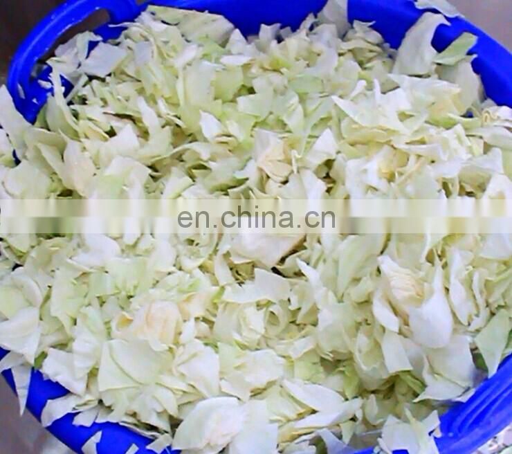 Low Price Automatic Electric Large Type Hobbing Leafy Vegetable Cutter Machine Cabbage Parsley Lettuce Celery Cutting Machine